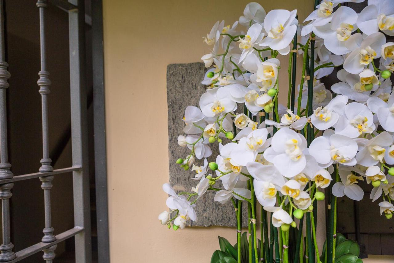 Calliano  Il Basin Bed & Breakfast エクステリア 写真
